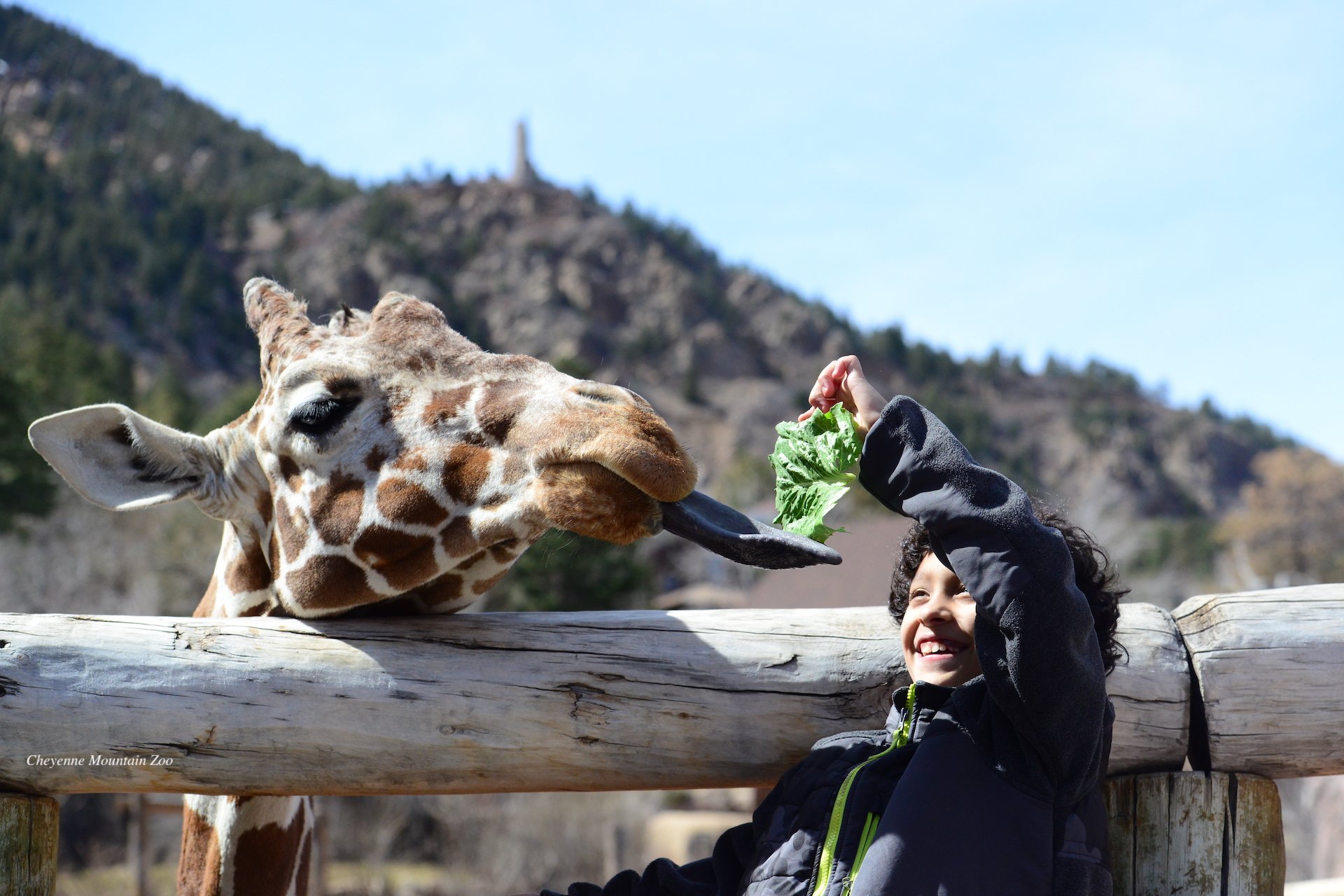 Things to Do in Colorado Springs | Garden of the Gods Resort & Club