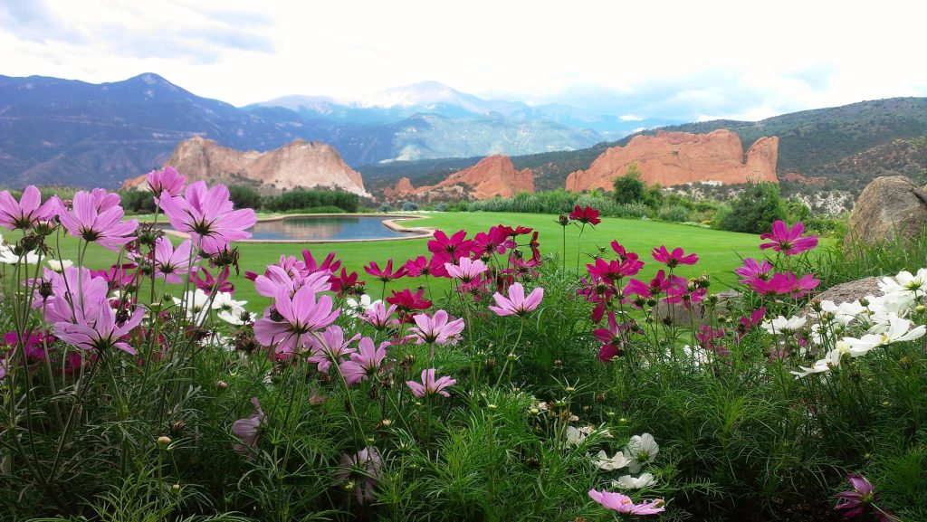 Mountains with flowers