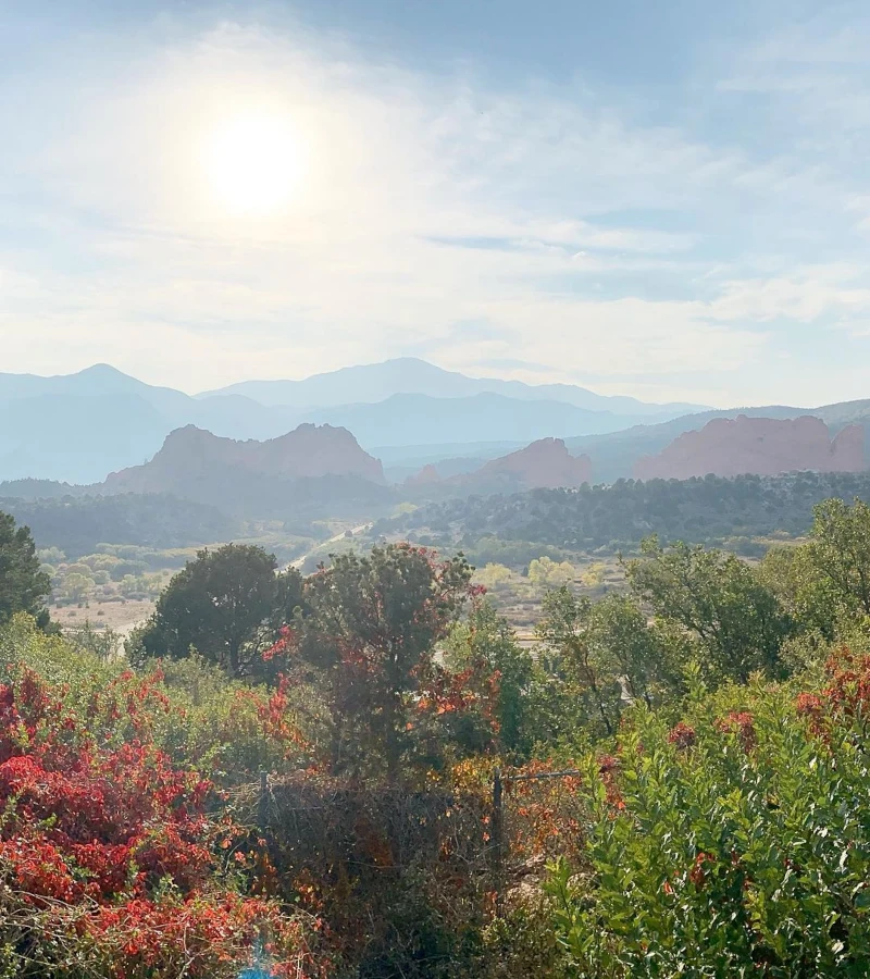 Panoramic view of bright autumn foliage overlooking distant red rock formations under a bright sun