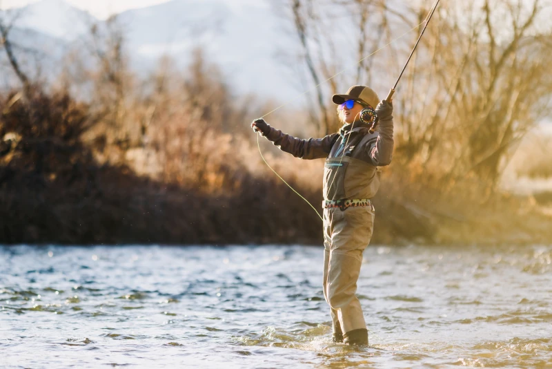 Woman fly fishing in a shallow river wearing waders and a cap