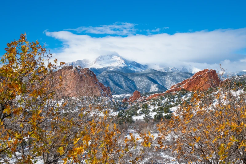 Vibrant orange autumn leaves and green pine trees set against red rock cliffs and a blue sky