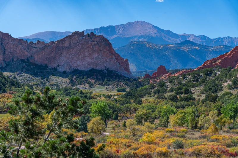 Wide vista of red rock sandstone formations and vibrant fall vegetation with mountains in the background